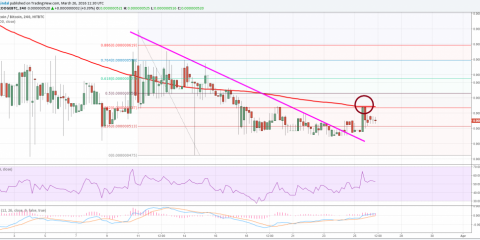 Dogecoin3-1024x484