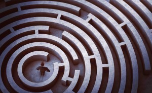 maze, business