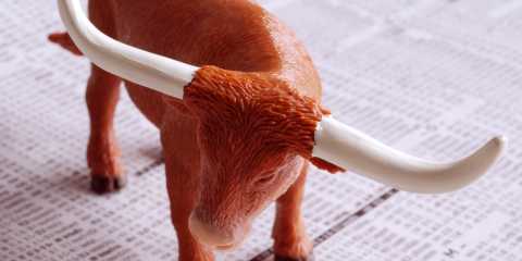 bull-prices-e1461290011440