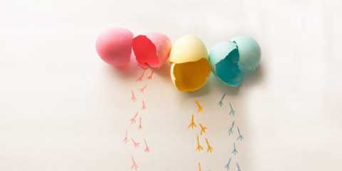 color, eggs