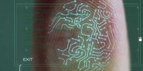 identity, data