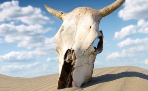 skull, sand